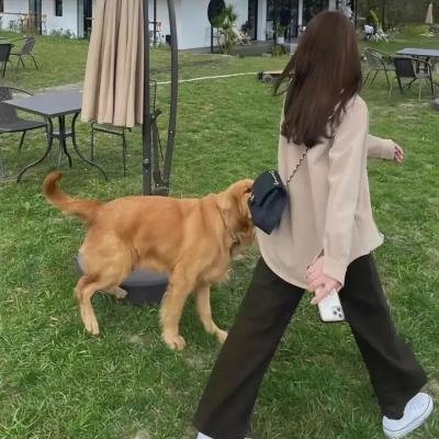 反串